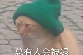 蛋蛋解说发博开锤女网红“伴娘变新娘”，引来王思聪评论围观图片