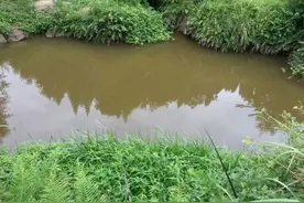 野钓泥鳅，另有一番乐趣，垂钓技巧简单易学图片