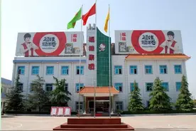 福娃集团倒下之后，监利终于崛起了新的龙头企业图片
