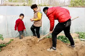 农村萌娃帮奶奶干活，一本正经吹牛帮倒忙，奶奶乐得合不拢嘴视频封面