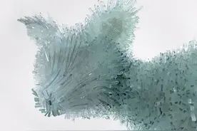 破碎的玻璃渣，在艺术家的手中，变成了精美绝伦的动物雕塑图片