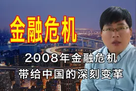 说一说2008年的金融危机带给中国的深刻变革图片