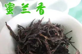 凤凰单丛，蜜中之王蜜兰香图片