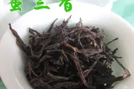 凤凰单丛，蜜中之王蜜兰香图片