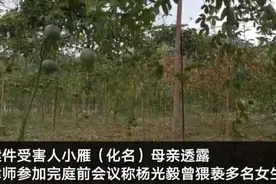 广西百香果女孩案出现新证词 村民：案发前2个月 他藏竹林跑出来抱我女儿图片