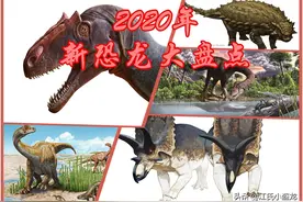 2020古生物学家到底命名了多少种恐龙？图片