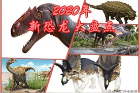 2020古生物学家到底命名了多少种恐龙？图片
