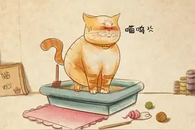 看大便识健康，这些情况要当心图片
