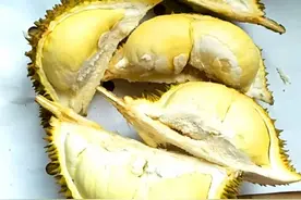 吃了二十几年榴莲，现在才知道榴莲壳还可以用来煲鸡，长见识了图片