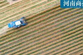 壮观！航拍河南收麦，不愧是中原粮仓图片