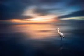 心静如水，才是人生的最高境界图片