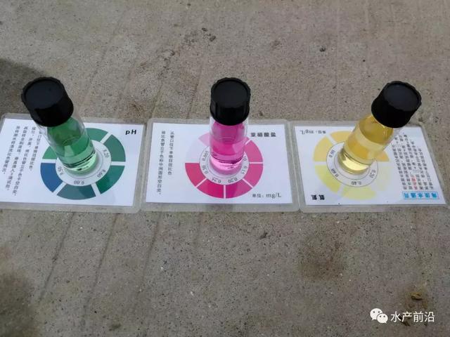 氨氮、亚硝酸盐超标将给虾蟹苗带来这些危害！虾蟹苗中毒怎么办？