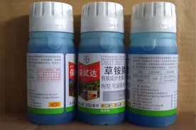 草铵膦使用大全，之前你都用对了吗？图片