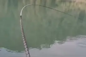 软竿钓小鱼，硬竿钓大鱼，改变提竿手法软竿可钓大鱼硬可钓小鱼图片