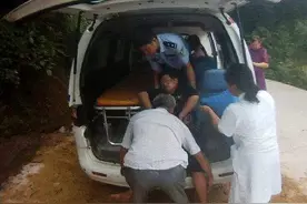 蜇伤5人，蜇死1人！重庆6位村民遭马蜂攻击，马蜂到底有多毒？图片
