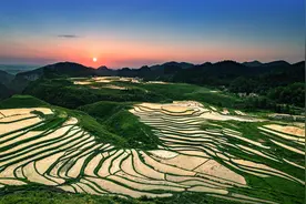 稀饭县的锅巴饭图片