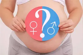 胎儿性别是什么时候形成的？胎儿性别由谁决定，你知道吗图片