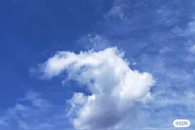 150小个子穿搭图片