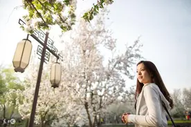 小说：要是你回到五八年，你是选道德还是选饥饿图片