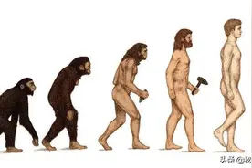无所不能的人类，为何寿命只有3万天左右呢？是什么在阻碍永生图片