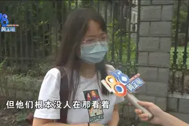 诊所“24小时监护”，萨摩耶凌晨没了？图片