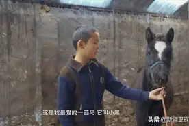 新疆故事·新疆我的家｜看看哈萨克族小朋友阿严的快乐农家生活图片