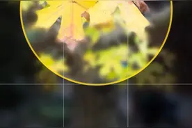 这些高格调纯黑背景照片，用手机如何拍/修出来？图片