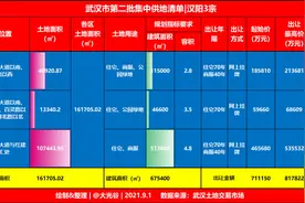 武汉第二批集中供地51宗，汉阳共推出3宗地图片
