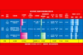 武汉第二批集中供地51宗，汉阳共推出3宗地图片