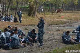 当兵选哪个兵种好？图片