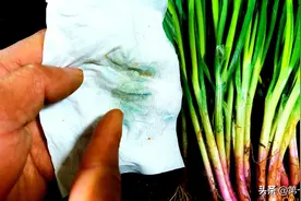 远离“蓝矾”有毒香葱，为了家人健康，看完请告知他们图片