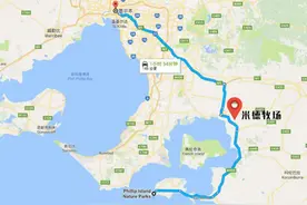 墨尔本周边游——“澳式牧场+巧克力工厂+海岛”1天完全解锁攻略图片