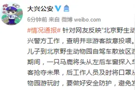 北京野生动物园一游客给动物喂口罩？警方：系马鹿探入车内叼出图片