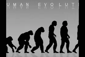 人类是来自于外星球的吗？科学家从人体3个特征对进化论提出质疑图片