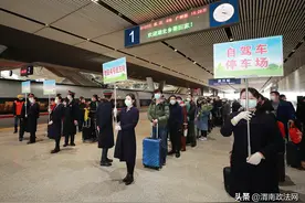 应勇到武汉站接站：来武汉就是武汉人 这是健康城市欢迎回家图片