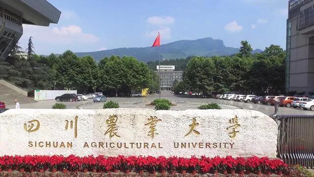 成都还会吸纳哪些大学？