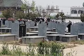 悼念亡母 穆斯林的葬礼图片