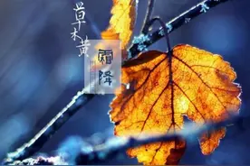 霜降将至，“霜降不下霜，大雪满山岗”啥意思？对农作物有何影响图片