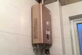 燃气热水器2019年度销售额十强榜：两个德国品牌各具优势图片