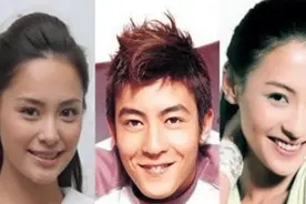 当年陈冠希事件，前后牵出15位女星，为何只有应采儿能全身而退？图片