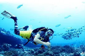 潜水真没你想象的那么难，“那一抹蓝”让你一次就上瘾图片