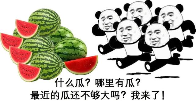 如何随手合成大西瓜，把把1000分？手残必看的高分攻略来了