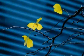 爱情，好聚不好散图片