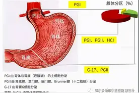 科普 | 诊断早期胃癌的利器——胃功能三项图片