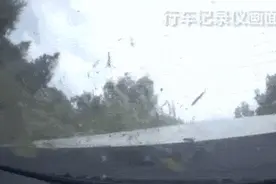 致敬！2分钟内连救4人的英雄归来图片