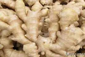 沙子埋生姜怎么埋？用木箱装沙子储藏，方法简便易行，保鲜效果好图片