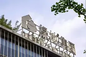 绿地女主曝“新瓜”：女总监和官员在一起，陈军如何赚到9000万图片