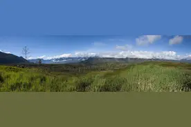 俞敏洪经典语录图片