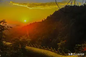 人在低谷期，要懂得蛰伏图片