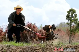 王炉：西和县姜席镇姜尧村来的“新农民”图片